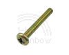PowerBook 100 Screw, Bottom Case 23.5mm ph, Gold
