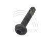 PowerBook Screw, Display Mount T8 grey 13.6mm (190/5300)